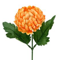 Chrysantheme Orange Ø7cm L18cm 1St