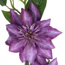 Künstliche Clematis, Seidenblume, Dekozweig mit Clematisblüten Violett L84cm