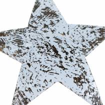 Artikel Kokos Stern Weiß gewaschen 10cm 20St
