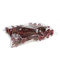 Artikel Compacta Rosette Erika 40St