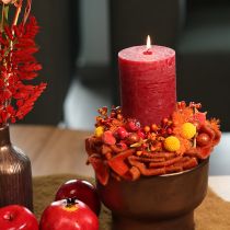 Artikel Craspedia Trockenblumenstrauss 55 cm Orange 20 Stück