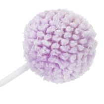 Artikel Craspedia Trockenblumen Helllila 55cm 20 Stück für Tischdeko und Wohnraum