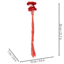 Artikel Getrocknete Craspedia in Rot, 55 cm, 20 Stiele