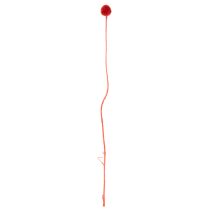 Artikel Getrocknete Craspedia in Rot, 55 cm, 20 Stiele
