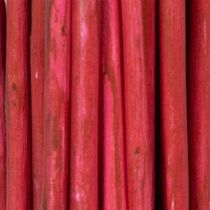 Artikel Getrocknete Curly Willow Deko-Zweige aus Korkenzieherweide Rot 80 cm 70 g