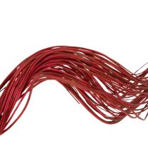 Artikel Getrocknete Curly Willow Deko-Zweige aus Korkenzieherweide Rot 80 cm 70 g