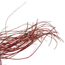 Artikel Getrocknete Curly Willow Deko-Zweige aus Korkenzieherweide Rot 80 cm 70 g