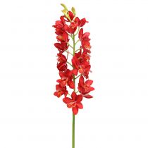 Artikel Orchidee Cymbidium Rot 78cm