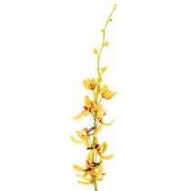 Artikel Künstliche Cymbidium Orchidee 95 cm Gelb-Grün-Bordeaux 2 Stück