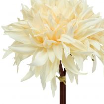 Artikel Künstliche Dahlien Creme 25,5 cm 3er-Set aus Kunststoff