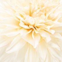 Artikel Künstliche Blume Dahlie aus Seidenstoff 68 cm cremeweiss