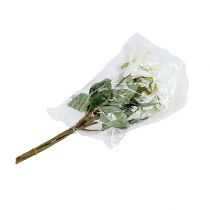 Artikel Dahlie Weiß 28cm 4St