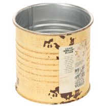 Artikel Deko Metalldose Apricot Ø8cm Höhe 7,5cm Pflanztopf Innenbereich