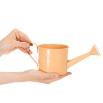 Artikel Deko-Giesskanne Set aus Metall Ø11cm H10cm, Lachs, Grün, Gelbgrün, 8 Stück