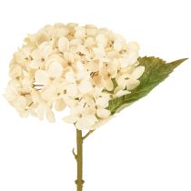 Artikel Deko Hortensien künstlich Creme Seidenblumen 34cm 2St