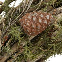 Artikel Natur Deko Kranz mit Zweigen und Zedernzapfen Holzkranz Türkranz Wanddeko Tischdeko Landhaus Boho Ø40cm