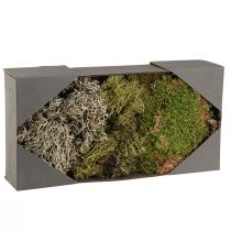 Artikel Deko Moos – echtes Moos und Flechte für Gestecke 250g