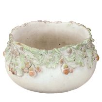 Artikel Deko Schale Steinguss Eicheln Pflanzschale Ø20cm H10cm