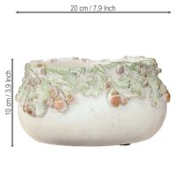Artikel Deko Schale Steinguss Eicheln Pflanzschale Ø20cm H10cm