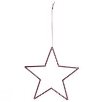Artikel Deko-Sterne zum Hängen aus Kunststoff Berry Ø18 cm Set mit 8 Stück
