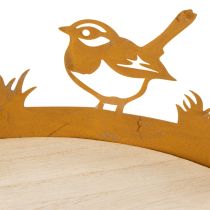 Artikel Dekotablett Holz und Metall Ø20cm Rostoptik mit Vogelmotiv als Frühlingsdeko