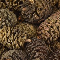 Artikel Deko Zapfen Erlenzapfen Natur zum Dekorieren 3-4cm 200g