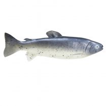 Artikel Dekofisch Lebensmittelattrappe Kunststoff 31cm silbern-weiss
