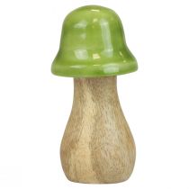 Artikel Dekorative Holzpilze Hellgrün Glänzend 3er-Set H6/8/10cm