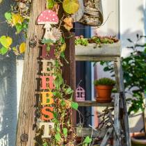Dekohänger Herbst mit Igel und Pilz 22,5cm x 20cm 4St