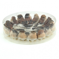 Artikel Dekovögel 9cm am Draht 16St