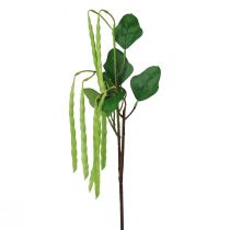 Dekozweig Bohnen Ast Kunstpflanze Grün 68cm
