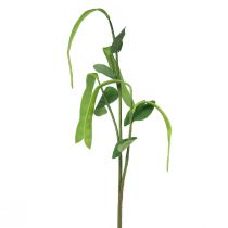 Dekozweig Bohnen Ast Kunstpflanze Grün 95cm