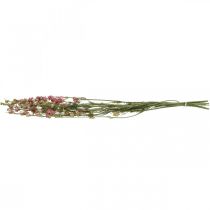 Artikel Trockenblume (künstlich) Rittersporn Delphinium Rosa, Deko Blumen Vase 64cm 25g