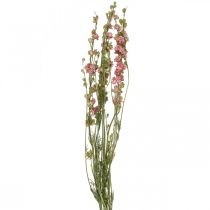 Artikel Trockenblume (künstlich) Rittersporn Delphinium Rosa, Deko Blumen Vase 64cm 25g