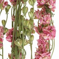 Artikel Trockenblume (künstlich) Rittersporn Delphinium Rosa, Deko Blumen Vase 64cm 25g