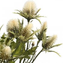 Artikel Distel künstlich Dekozweig Creme 68 cm 10 Blütenköpfe 3 Stück