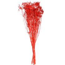 Artikel Doldenblütler Dekoblumenstrauß für Hochzeiten und Events