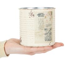 Artikel Dose Übertopf Metall Creme Ø11cm H10,5cm Shabby Chic Innenbereich
