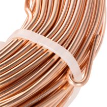 Artikel Aluminiumdraht Rolle 60 m Kupferfarben für Basteln und Floristik
