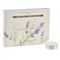 Duftkerzen Lavendel Kamille Teelichter Weiß Ø3,5cm 12St