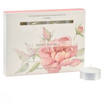 Duftkerzen Teelichter Pfingsrose Peony Blush Ø3,5cm 12St