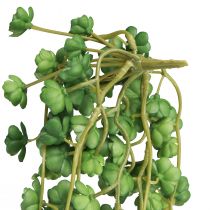 Artikel Echeveria Künstliche Hängepflanze Grün 50 cm