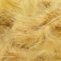 Artikel Echte Vogelfedern 5cm–10cm Hellgelb 20g Basteln und Dekoration