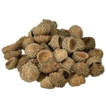 Artikel Eichelkappen Natur Deko Eicheln zum Basteln 1,5cm 200g