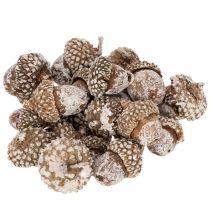 Artikel Eicheln weiss gewaschen für Dekoration 1–3 cm 300 g