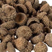Artikel Eichelkappen aus Naturmaterial ca. 2 cm Braun 300 g für Herbst- und Adventsdekoration