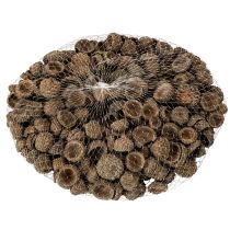 Artikel Eichelkappen aus Naturmaterial ca. 2 cm Braun 300 g für Herbst- und Adventsdekoration