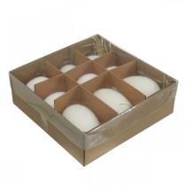 Artikel Schwaneneier & Hühnereier Mix Ausgeblasene Eier Weiß 5,5/8cm 9St