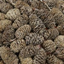 Artikel Erlenzapfen Dekokugel zum Hängen Weiss gewaschen 20 cm