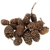 Artikel Erlenzapfen Naturprodukt Gold 3 cm 300 g für Dekoration und Basteln